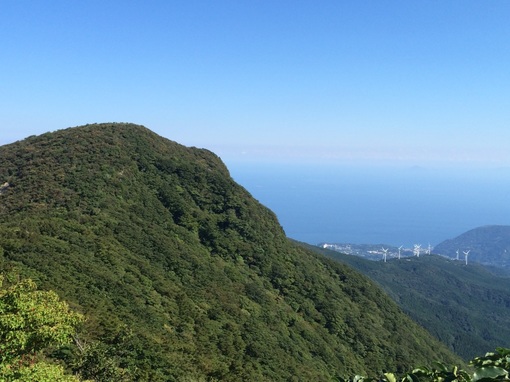 img_20140917-111708.jpg