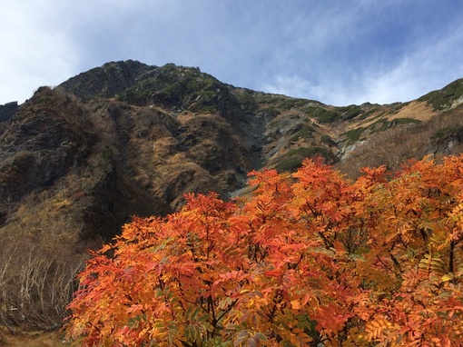 img_20141013-132737.jpg