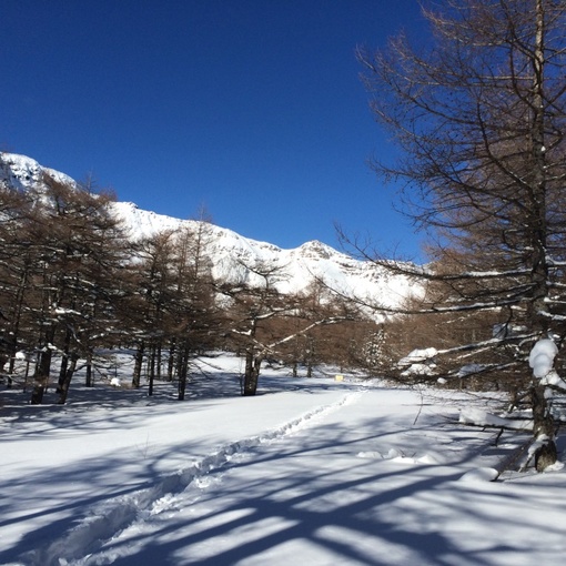 img_20150105-110227.jpg