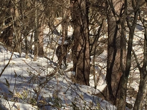 img_20150105-110840.jpg