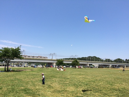img_20150601-091755.jpg