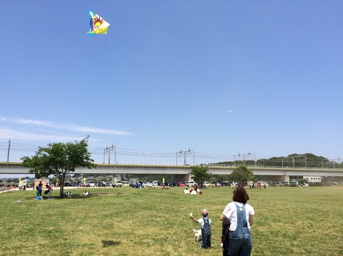 img_20150601-091806.jpg
