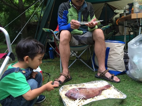 img_20150608-132547.jpg