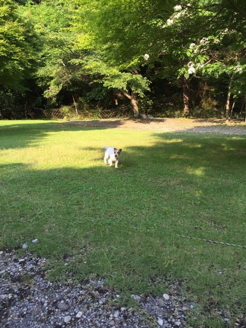 img_20150608-132604.jpg