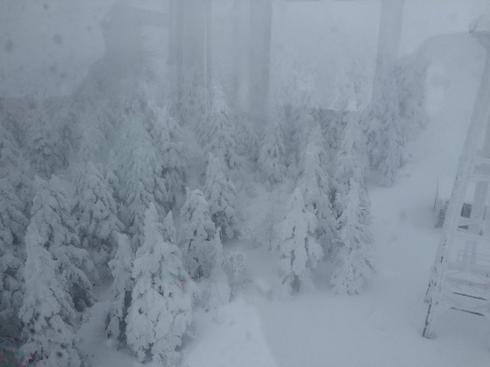 img_20160112-200013.jpg