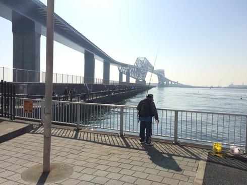 img_20161116-220839.jpg