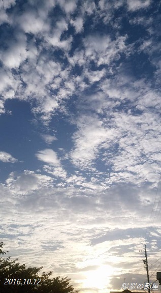 img_20161012-181852.jpg