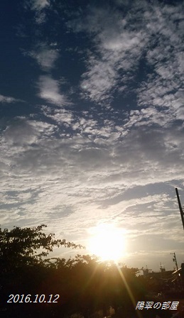 img_20161012-195933.jpg
