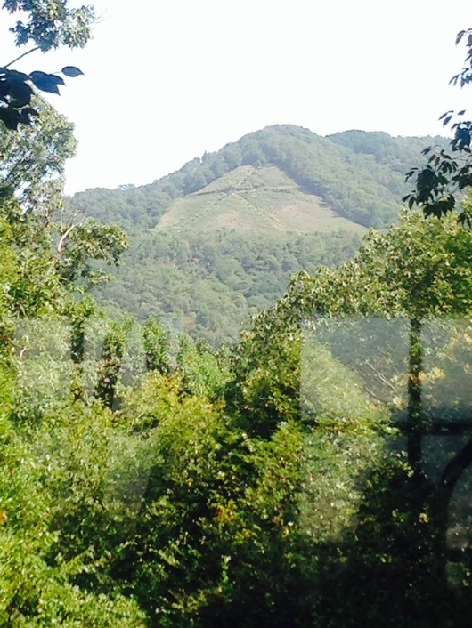 img_20130925-181818.jpg