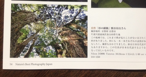 img_20140804-085941.jpg