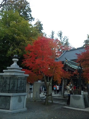 img_20131120-073412.jpg