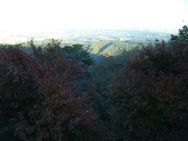 img_20131120-073425.jpg