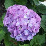 img_20140613-083147.jpg