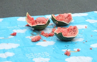 img_20140818-163415.jpg