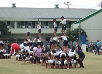 img_20140930-120047.jpg