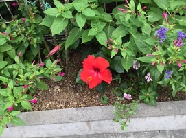 img_20150916-101825.jpg