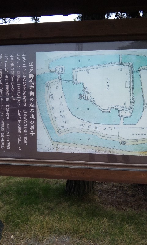 img_20130610-075242.jpg