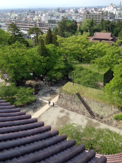 一望