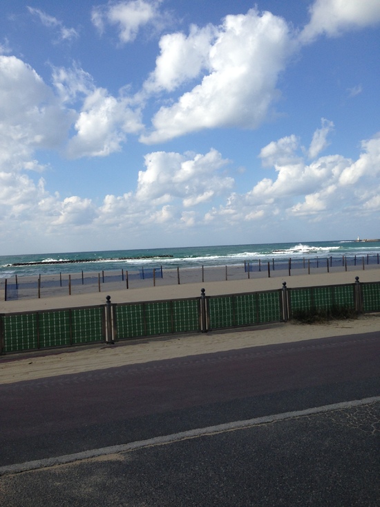 img_20141128-201252.jpg