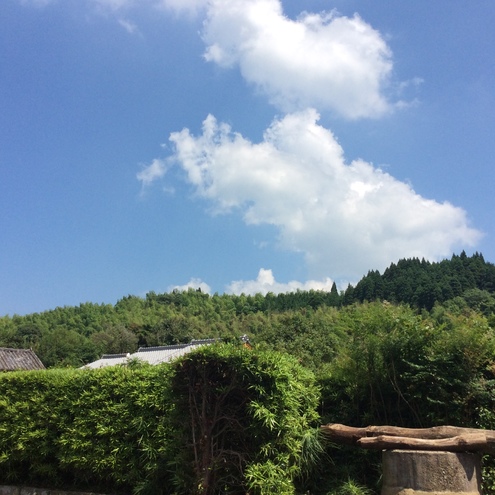 img_20150610-232631.jpg