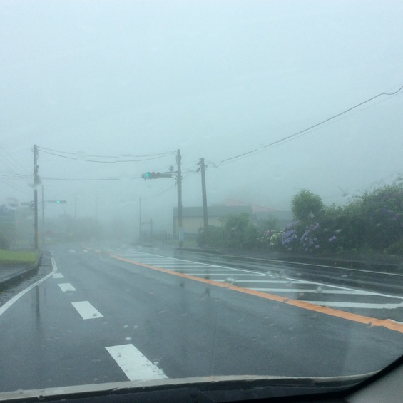 img_20150618-002103.jpg