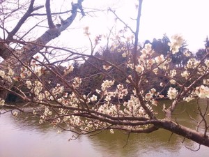 img_20140319-213432.jpg