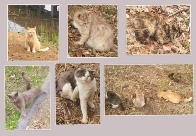 img_20140402-211058.jpg