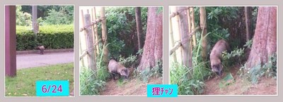 img_20140625-004344.jpg