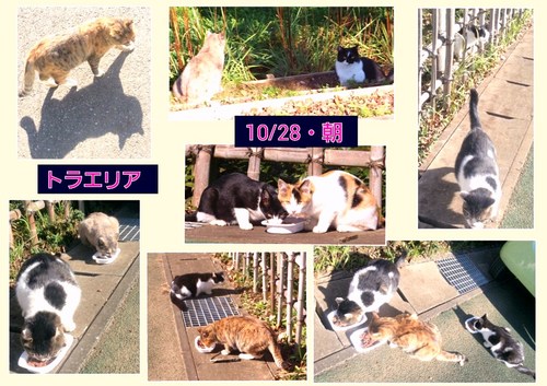 img_20141028-190135.jpg
