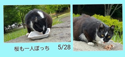 img_20150529-181125.jpg