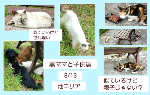 img_20150813-221830.jpg