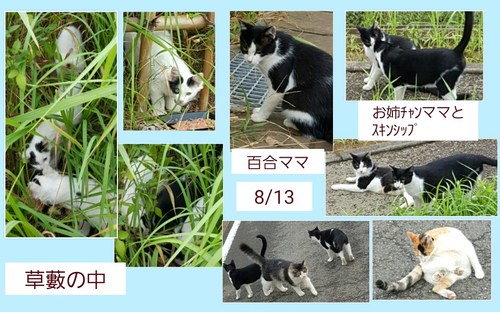img_20150813-222021.jpg