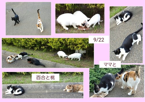 img_20150923-201849.jpg