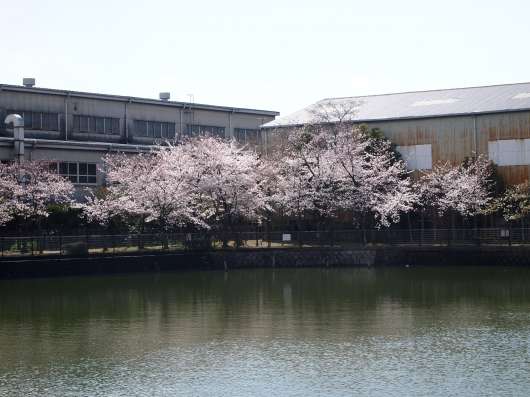 img_20120407-122047.jpg