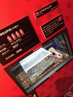 GWお遊び編＊グロ注意