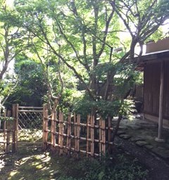 img_20150811-205425.jpg