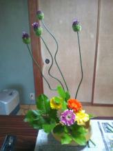 img_20121229-171319.jpg