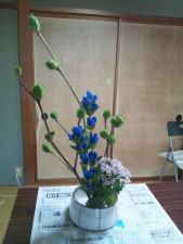 img_20121229-171812.jpg