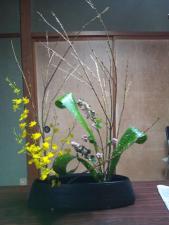 img_20121229-172119.jpg