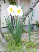 img_20120513-101759.jpg