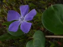 img_20120513-102059.jpg