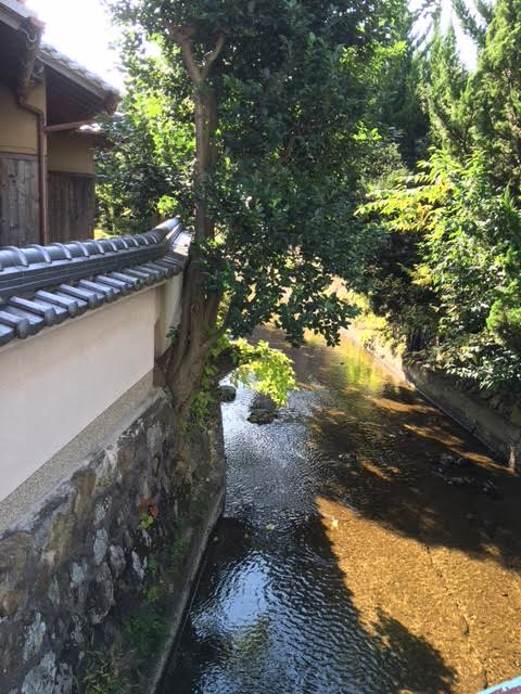 img_20161113-205646.png