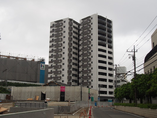 img_20130526-100312.jpg