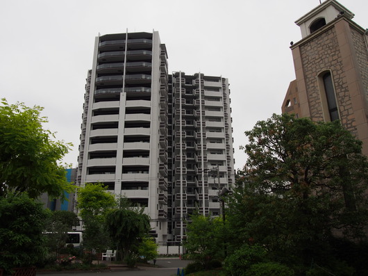 img_20130602-114937.jpg