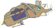 a_20120809-074808.gif