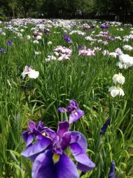 img_20120610-220448.jpg
