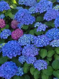 img_20120610-220701.jpg