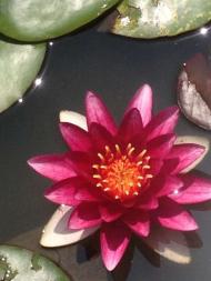 img_20120622-144204.jpg