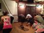 img_20120901-214648.jpg