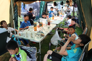 img_20160901-231157.jpg